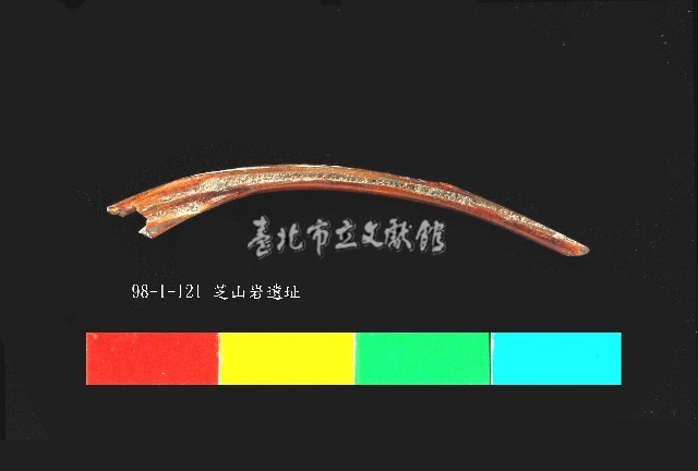 芝山岩文化獸肋骨藏品圖，第1張
