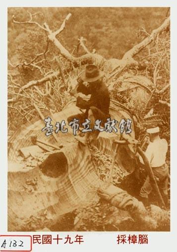 採樟腦藏品圖，第1張