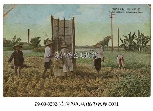 稻穫藏品圖，第1張