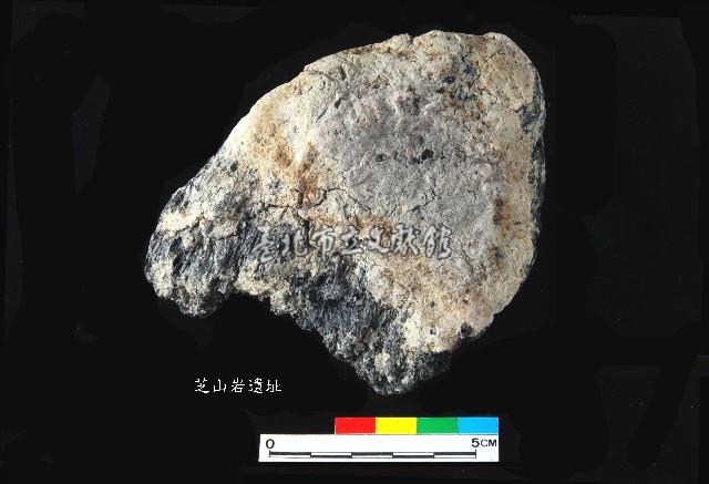 芝山岩文化帶穗稻穀糰塊藏品圖，第15張