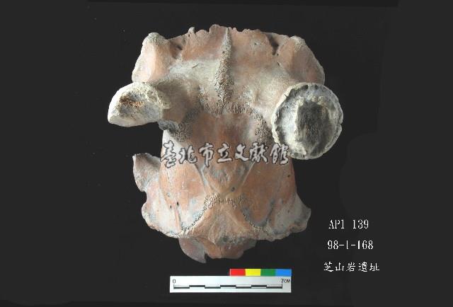 芝山岩文化鹿頭藏品圖，第5張