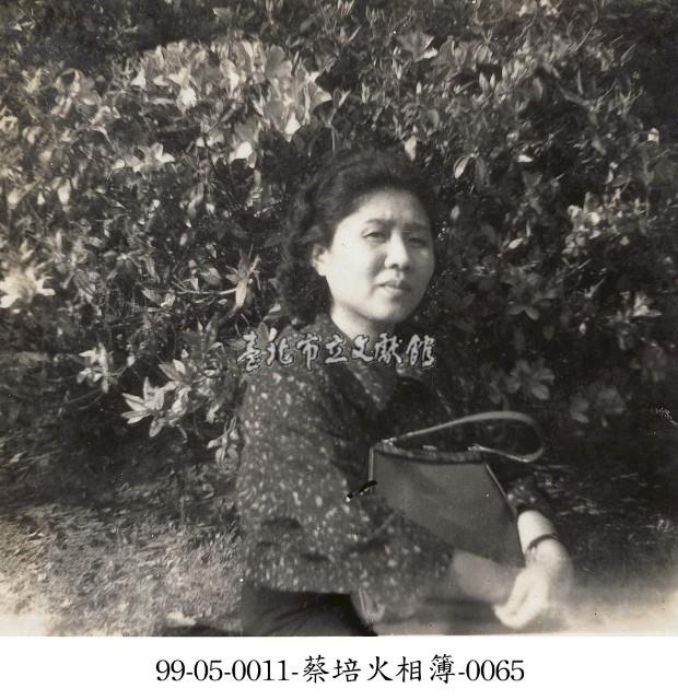 蔡淑珵相簿-0065藏品圖，第1張