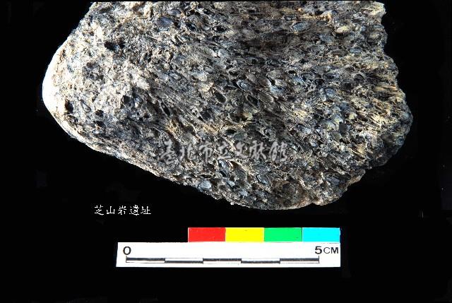 芝山岩文化帶穗稻穀糰塊藏品圖，第17張