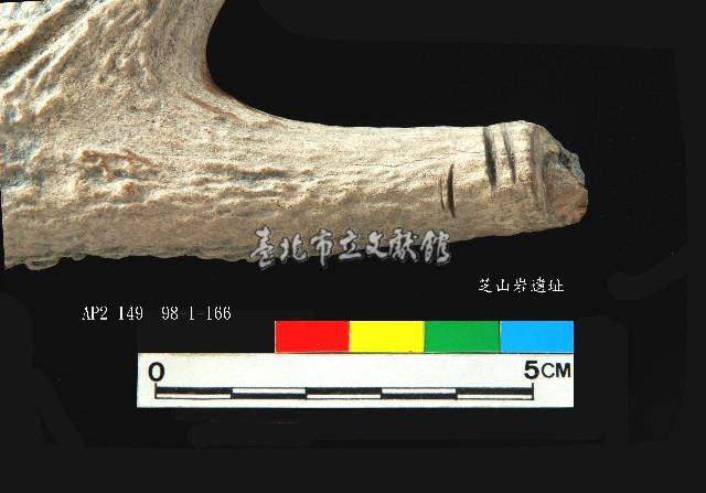芝山岩文化人工加工鹿角藏品圖，第7張