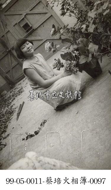 蔡淑珵相簿-0097藏品圖，第1張