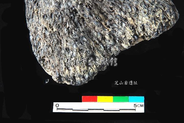 芝山岩文化帶穗稻穀糰塊藏品圖，第18張