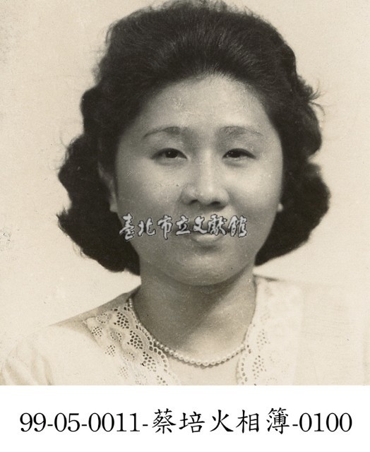 蔡淑珵相簿-0100藏品圖，第1張