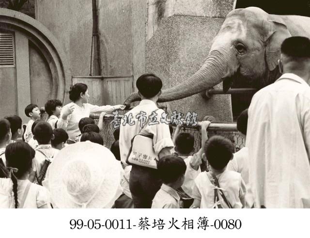 蔡淑珵相簿-0080藏品圖，第1張