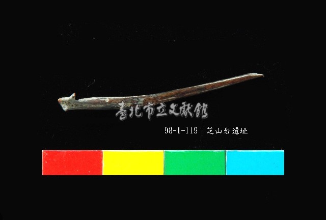 芝山岩文化魚骨藏品圖，第2張