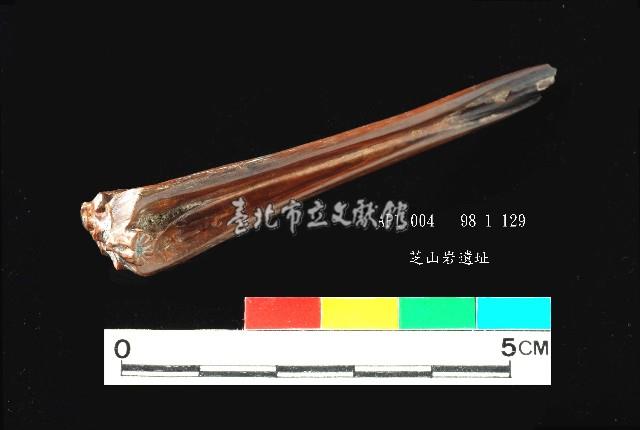 芝山岩文化魚骨藏品圖，第2張