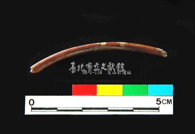 芝山岩文化獸肋骨藏品圖，第2張