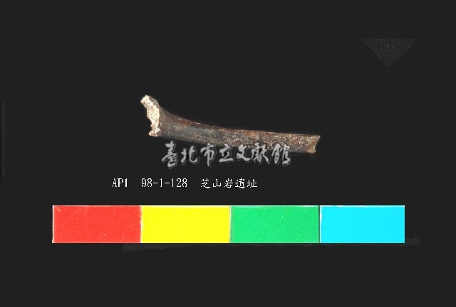 芝山岩文化骨藏品圖，第2張