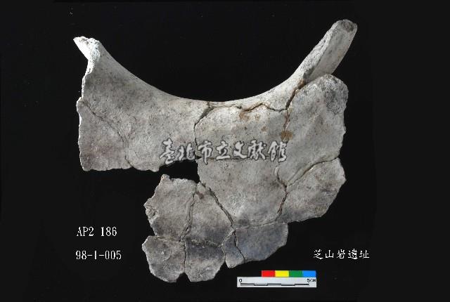 芝山岩文化罐口藏品圖，第2張