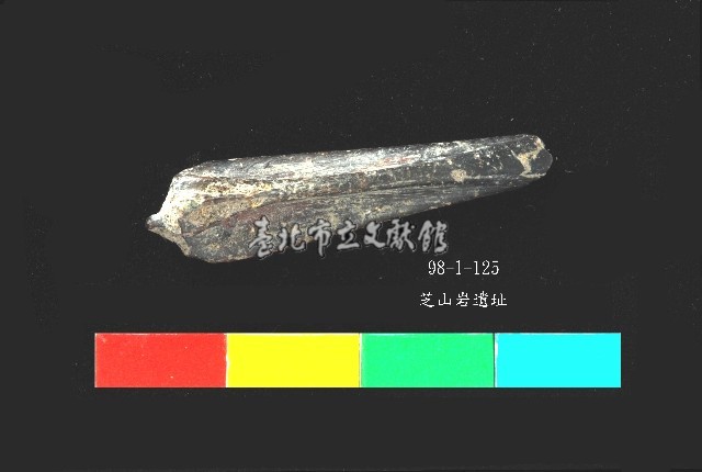 芝山岩文化魚骨藏品圖，第2張