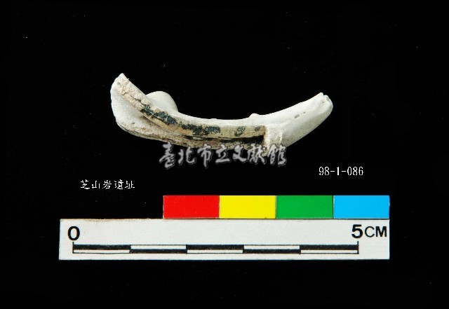 芝山岩文化蟹鉗藏品圖，第2張