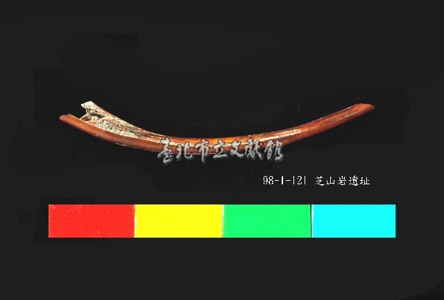芝山岩文化獸肋骨藏品圖，第2張