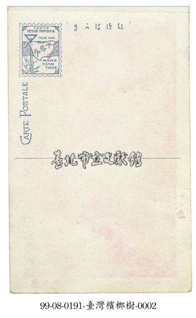 臺灣檳榔樹藏品圖，第2張