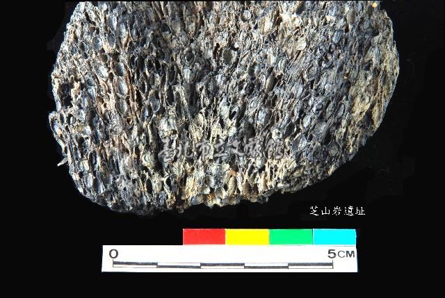 芝山岩文化帶穗稻穀糰塊藏品圖，第2張