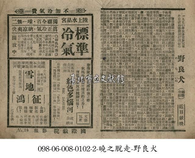 野良犬藏品圖，第1張