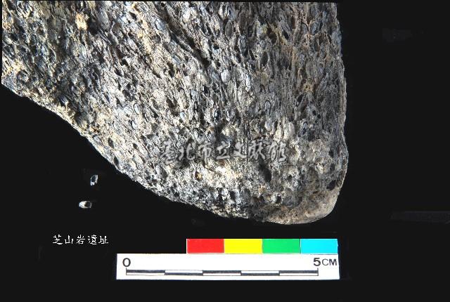 芝山岩文化帶穗稻穀糰塊藏品圖，第19張