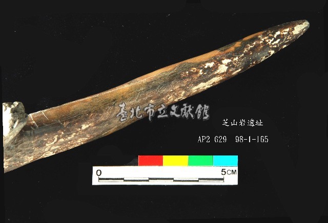 芝山岩文化鹿角藏品圖，第6張