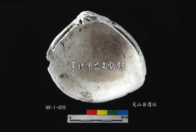 芝山岩文化大蜆藏品圖，第3張