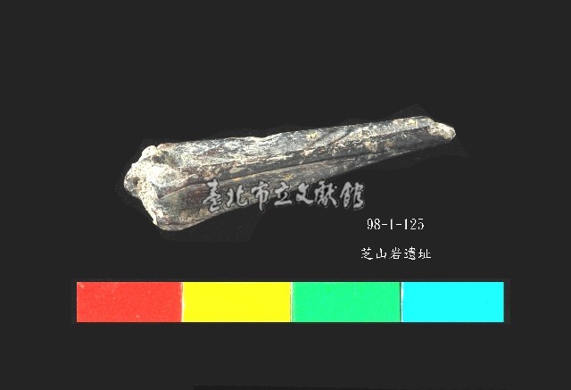 芝山岩文化魚骨藏品圖，第3張