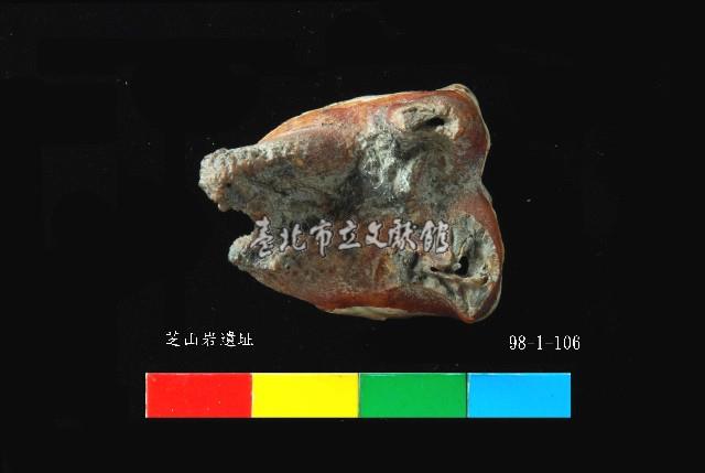 芝山岩文化鹿牙藏品圖，第3張