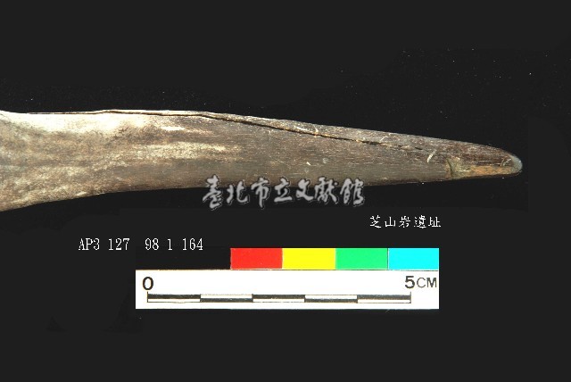 芝山岩文化鹿角藏品圖，第3張
