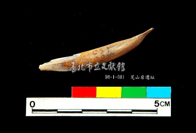 芝山岩文化鹿牙藏品圖，第3張