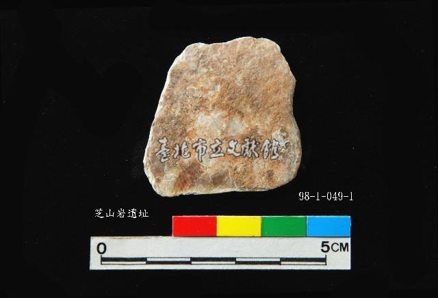 松山層窗貝藏品圖，第4張