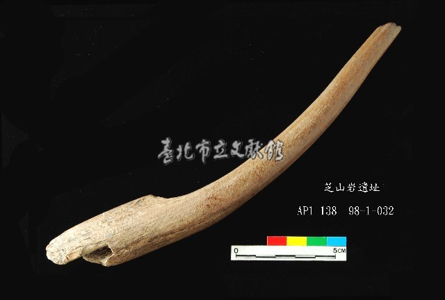 芝山岩文化角尖器藏品圖，第4張