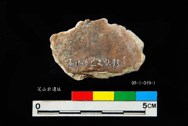 松山層窗貝藏品圖，第5張