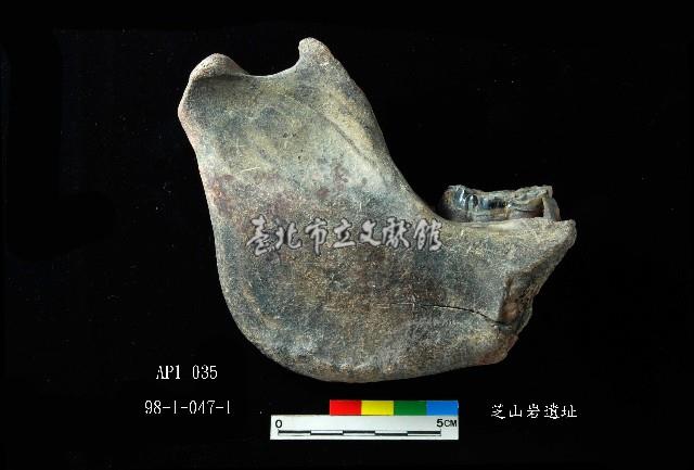 芝山岩文化豬下顎藏品圖，第5張