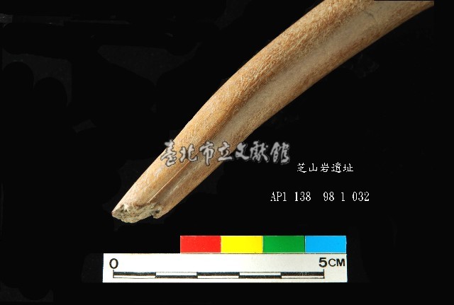 芝山岩文化角尖器藏品圖，第5張