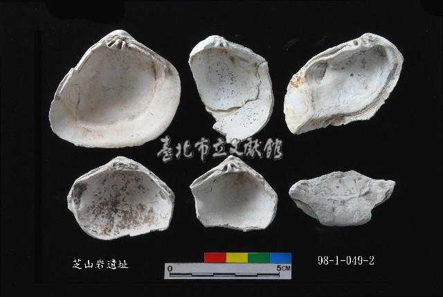 芝山岩文化大蜆藏品圖，第2張