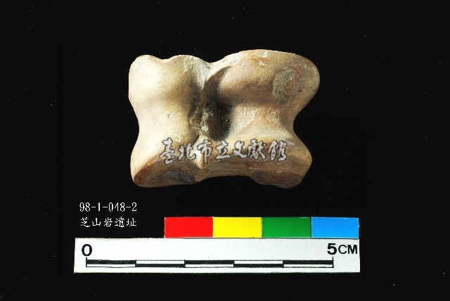 芝山岩文化獸距骨藏品圖，第2張