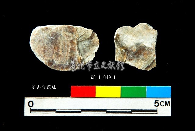 松山層窗貝藏品圖，第7張
