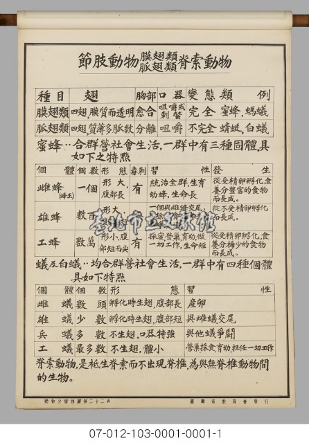 動物分類掛圖表解藏品圖，第24張