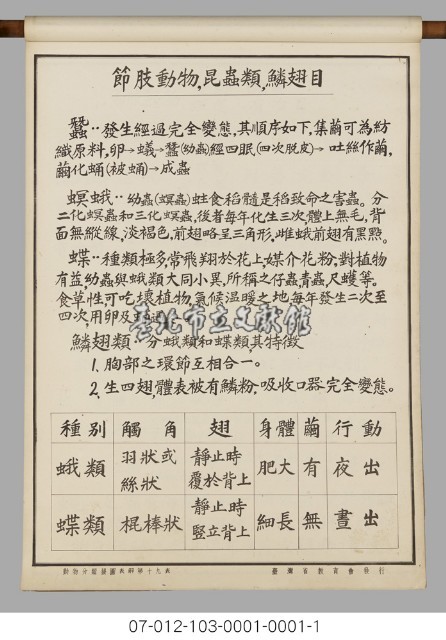 動物分類掛圖表解藏品圖，第21張