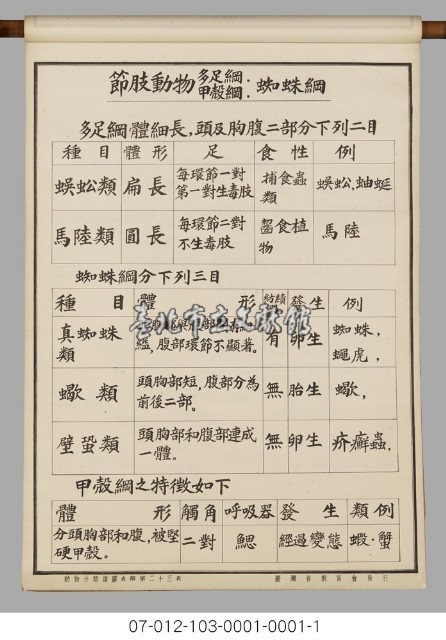動物分類掛圖表解藏品圖，第25張