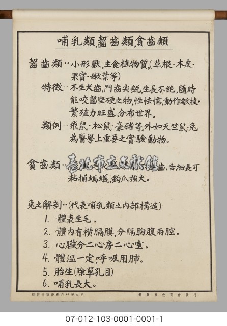 動物分類掛圖表解藏品圖，第7張