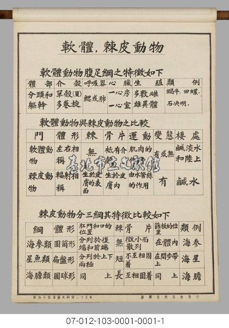 動物分類掛圖表解藏品圖，第27張