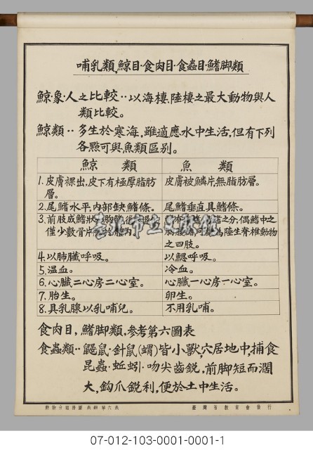 動物分類掛圖表解藏品圖，第8張