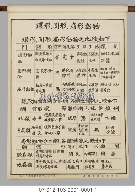 動物分類掛圖表解藏品圖，第28張