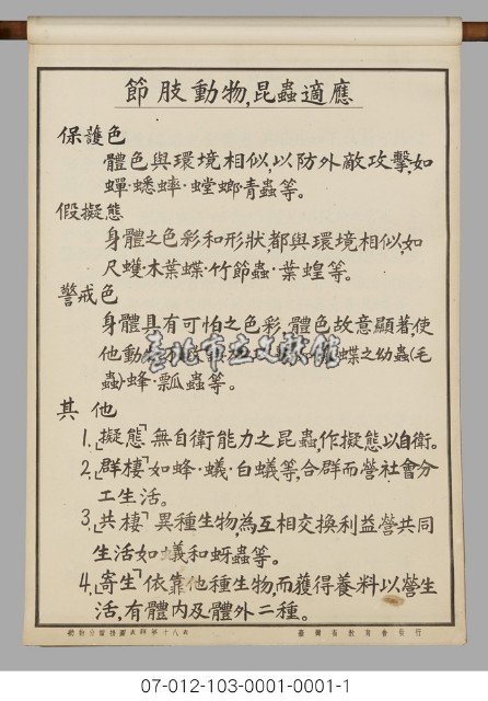動物分類掛圖表解藏品圖，第20張