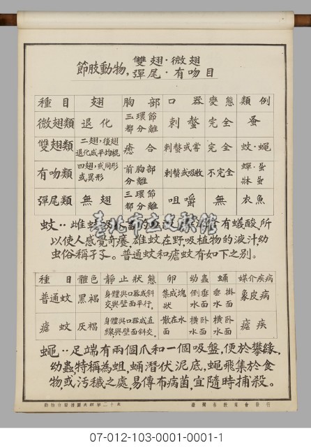 動物分類掛圖表解藏品圖，第22張