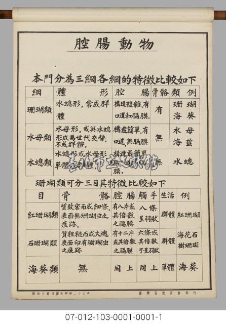 動物分類掛圖表解藏品圖，第29張