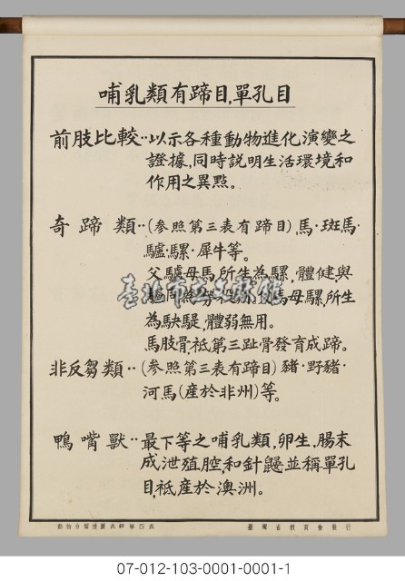 動物分類掛圖表解藏品圖，第6張