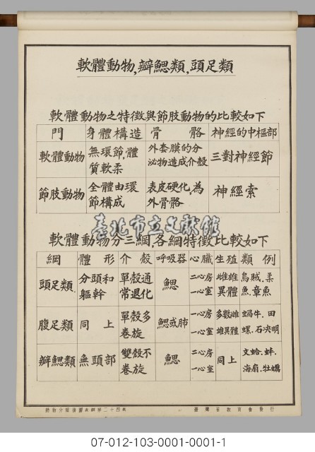 動物分類掛圖表解藏品圖，第26張